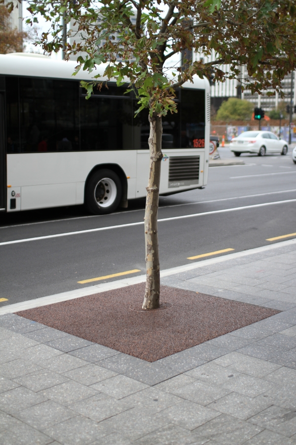 Bonded aggregate infill can be found surrounding some trees on Boulevards