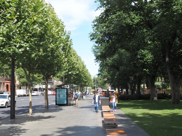 Uniform tree planting encourages social interaction by providing shade and help to delineate zones of movement and pedestrian sight lines