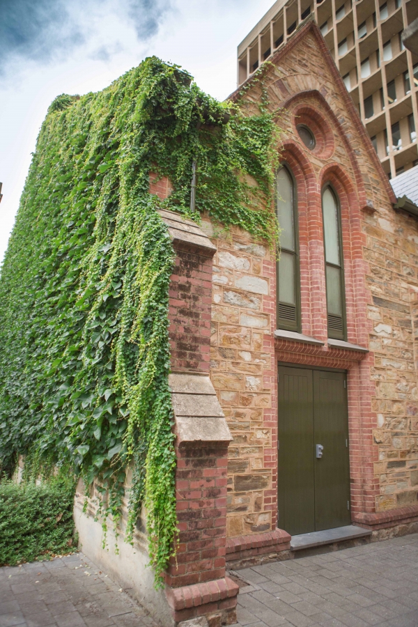 Green walls contribute to heating and cooling buildings