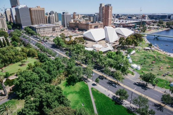 An Urban Forest is a collection of trees in an urban area