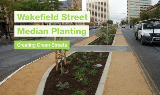 CASE STUDY Wakefield Street Median Planting