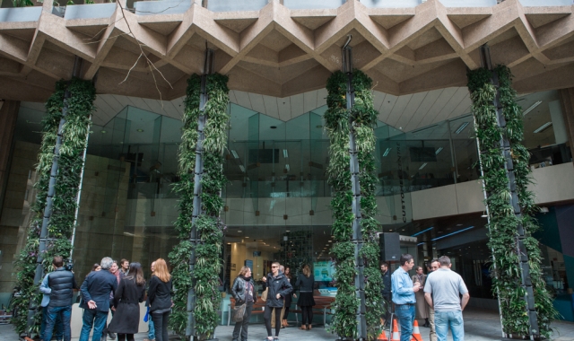 Pirie Street Green Wall