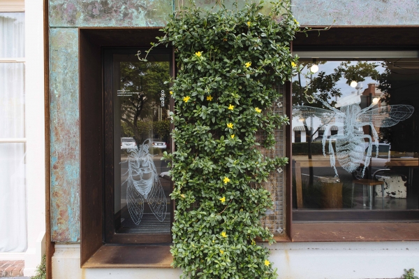 Living Architecture such as green walls can add visual interest to a building