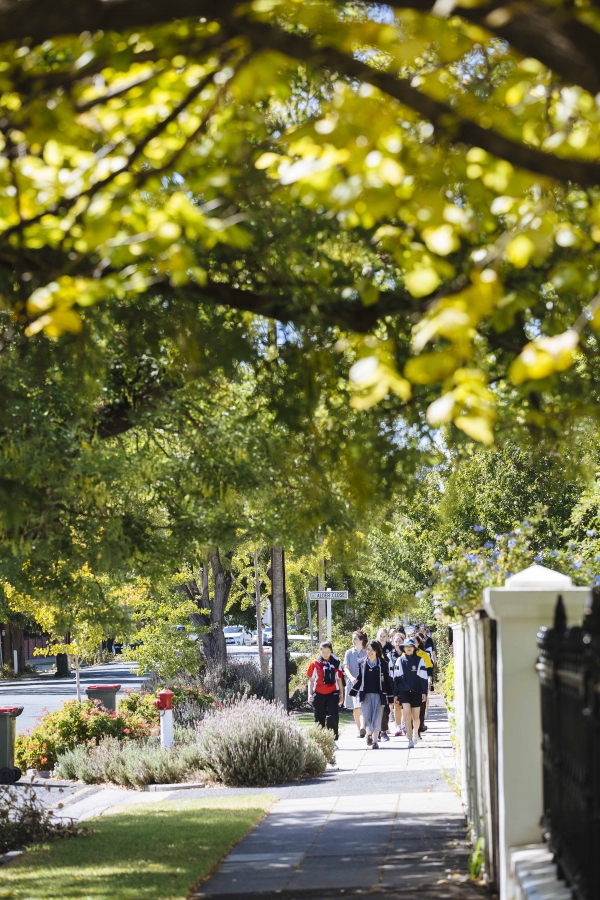 Green streets can help to improve pedestrian amenity, a street's liveability and sustainability