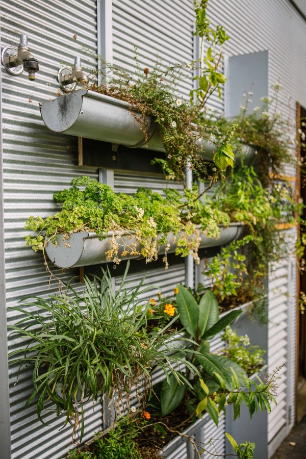 Green walls can be used on vertical surfaces and rooftops to break up stark uncomfortable material like concrete or metal