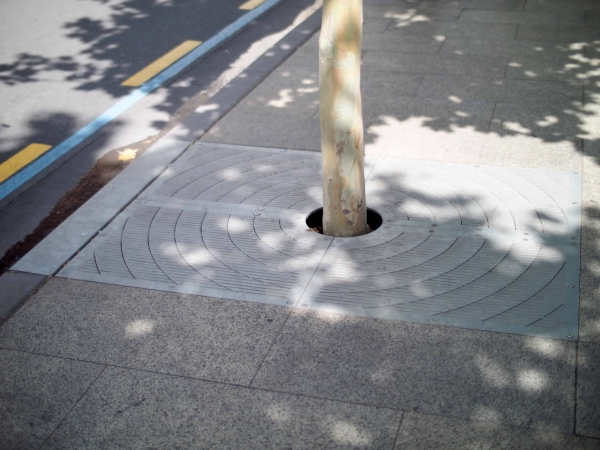Tree pits help to treat storm water on site by removing contaminants and improving water quality