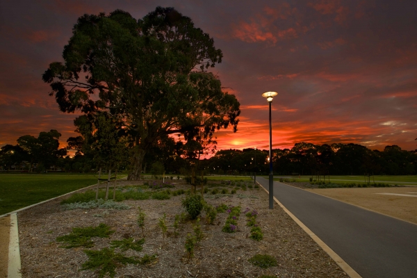 Lighting in Park Lands area should encourage use of the space at night but limit the effect on wild life