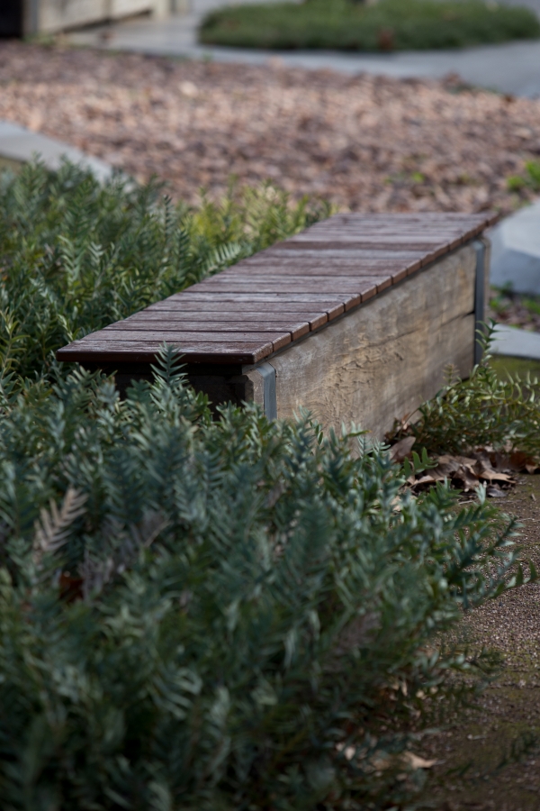 Elements such as fallen tree limbs can be re-purposed to provide natural and integrated seating elements within the Park Lands