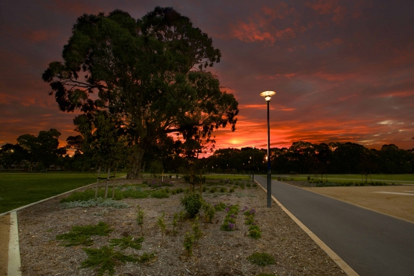 Lighting in Park Lands area should encourage use of the space at night-time but limit the effect on wild life