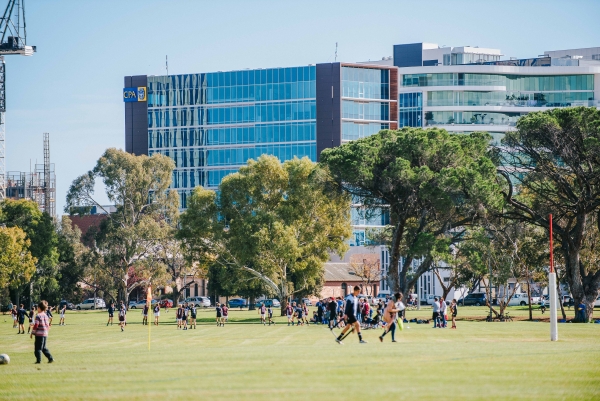 Terraces provide connections between the Park Lands and the city, encouraging activity among the commercial spaces